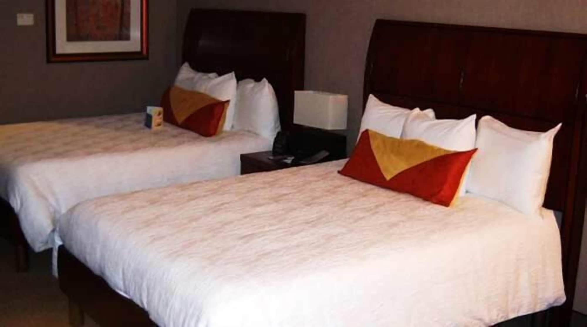 Hilton Garden Inn Indianapolis South/Greenwood Rom bilde